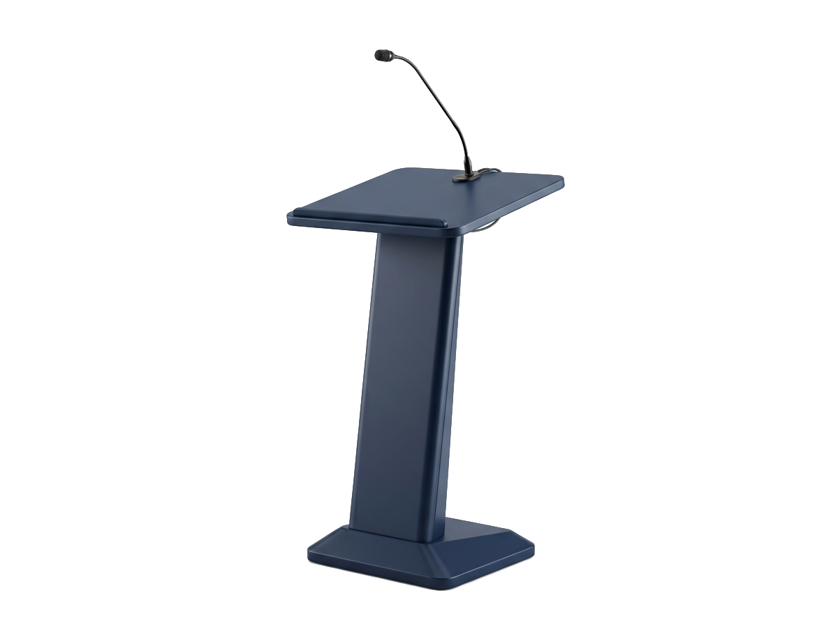 Public Speaking